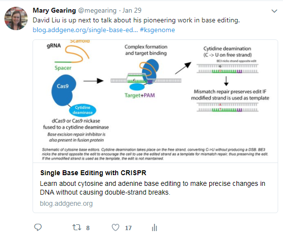 Single base editing with CRISPR diagram