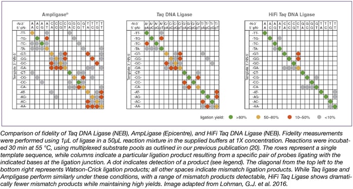 Ligase Fidelity Comparison between Taq DNA ligase (NEB), AmpLigase (Epicentre), and HiFi Taq DNA ligase (NEB)
