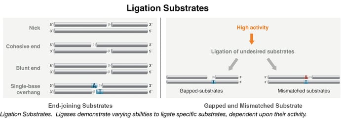 Ligation Substrates