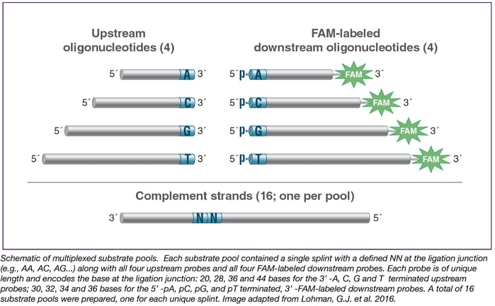 Schematic of Multiplexed Substrate Pools