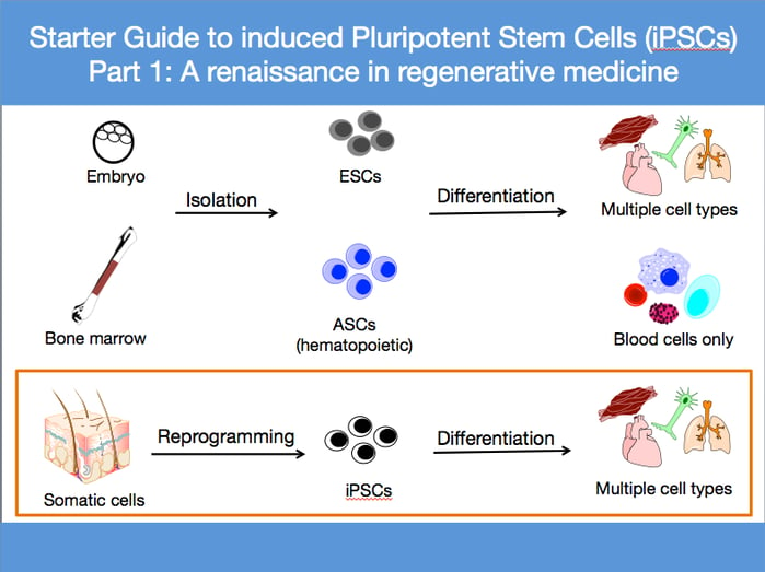Starter Guide to iPSCs Visual Abstract