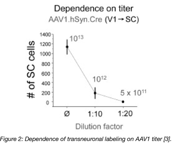 AAV infection dependence on titer