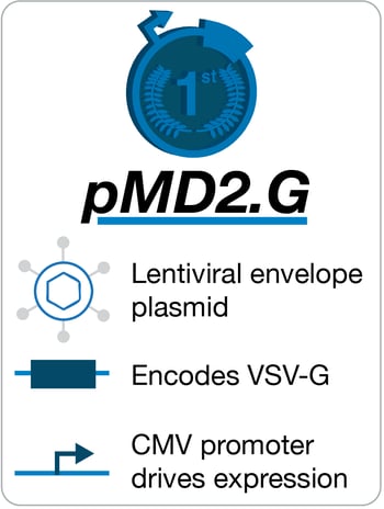 pMD2.G Lentivirus Envelope Plasmid