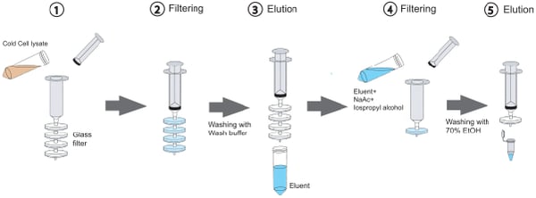 steps to purify DNA using glass filters