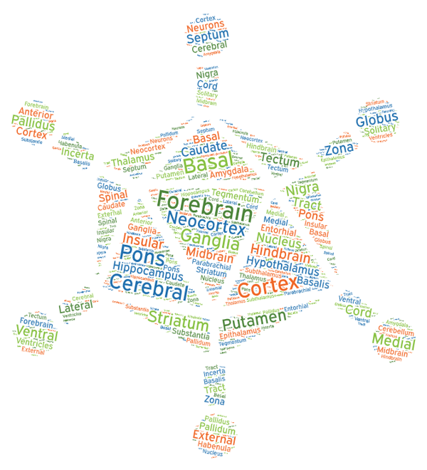 virus-shaped word cloud created brain injection sites from Addgene's AAV data hub