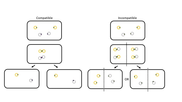 comparison of plasmid partitioning between compatible and incompatible plasmids