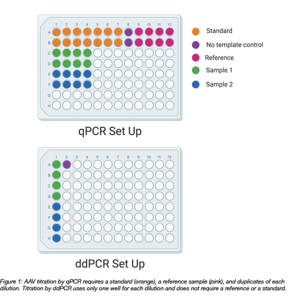ddPCR plate set up uses fewer wells than the qPCR plate set up for quantifying AAV