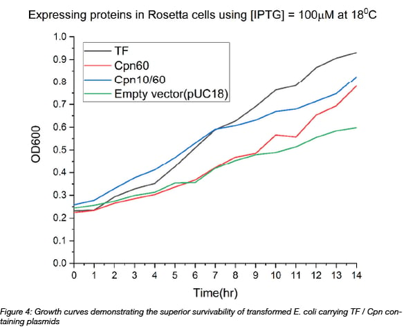 Growth curve of Ecoli containing cold tolerant chaperones