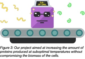 protein folding at suboptimal temperatures