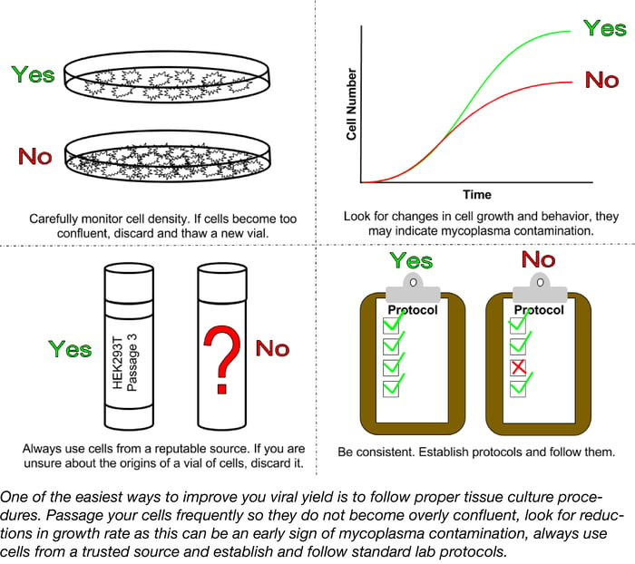 Schematic of four panels. Panel 1 depicts two cell culture dishes with "Yes" next to a dish of cells at a healthy density and "No" next to a dish of overly dense cells. Panel 2 depicts a Time versus Cell Number plot ‌with "No" next to a slower-growing red line and "Yes" next to a fast-growing green line. Panel 3 depicts two vials of cells with a "Yes" next to a vial indicating cell type and passage number and "No" next to a vial with no information provided. Panel 4 depicts two clip boards with protocols and "Yes" next to the clipboard with all of the protocol steps checked in green and "No" next to the clipboard with three out of four steps checked green but the last step marked with an X.