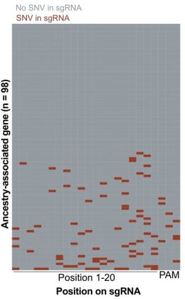 heatmap with SNV in Snps-min