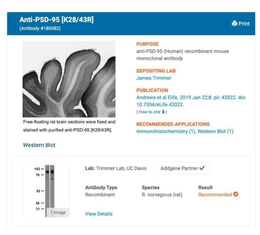 Example page of antibody sold at Addgene with supporting data