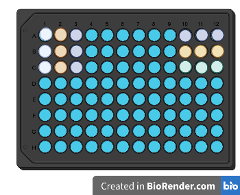 qPCR plate correct