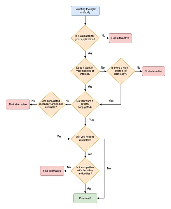 Antibody Selection flow chart