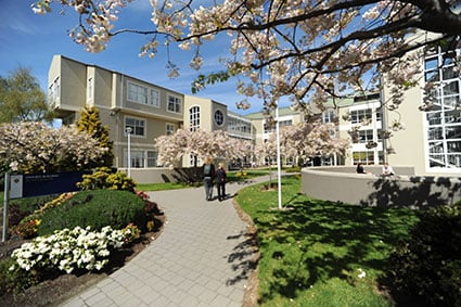 Owheo building in springtime