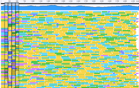 sequencing-min