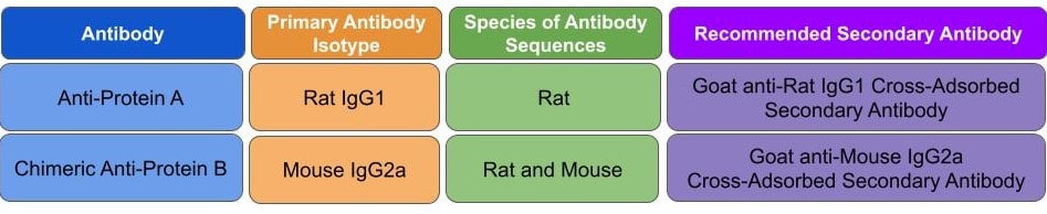 Chimeric Antibody Figure 3-min