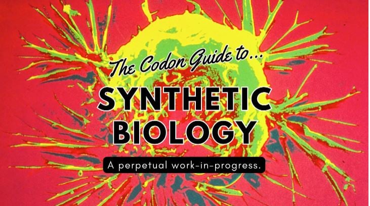 Codon Guide to Synthetic Biology logo