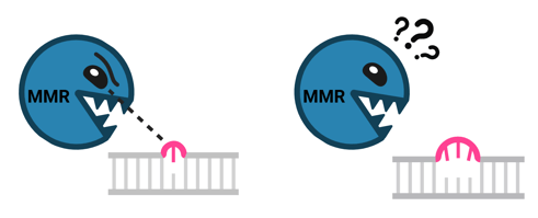 A cartoon depicting mismatch repair (MMR) as a monster with sharp teeth. The monster looks angrily at a DNA sequence with a single base mismatch, but it is confused by a DNA sequence with a 3-base mismatch “bubble.”