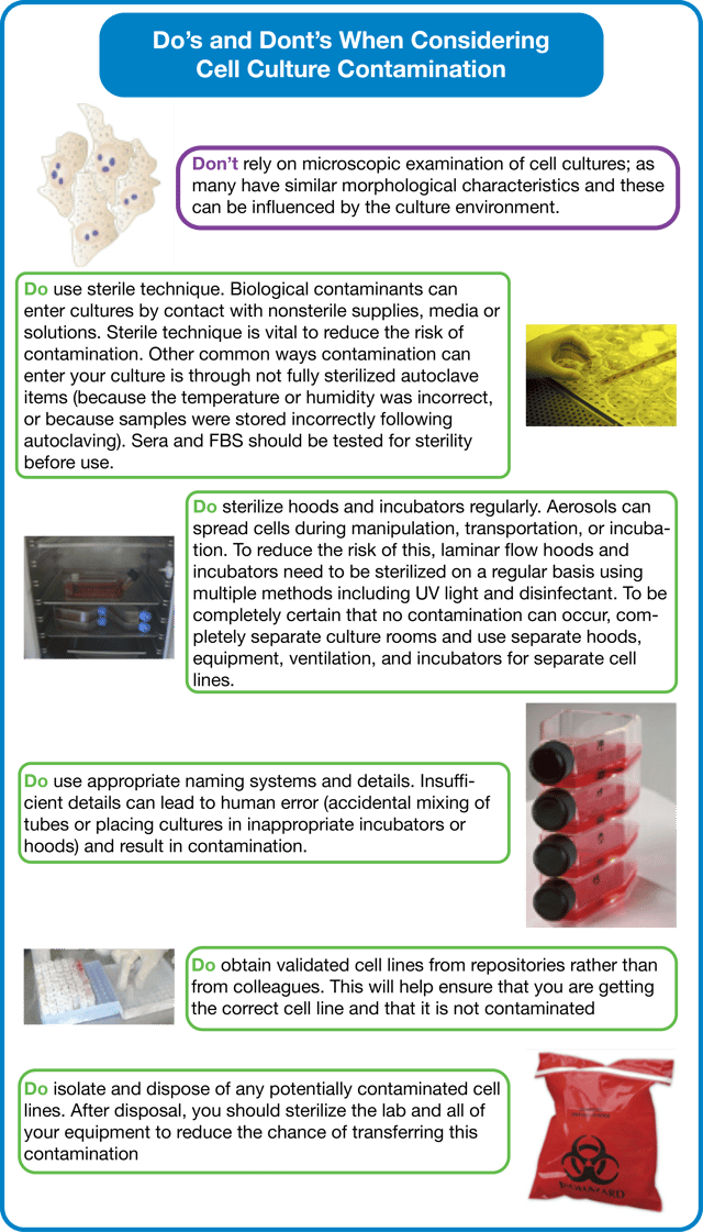 Do's and Dont's of Cell Culture