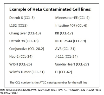 List of HeLa Contaminated Cell Lines