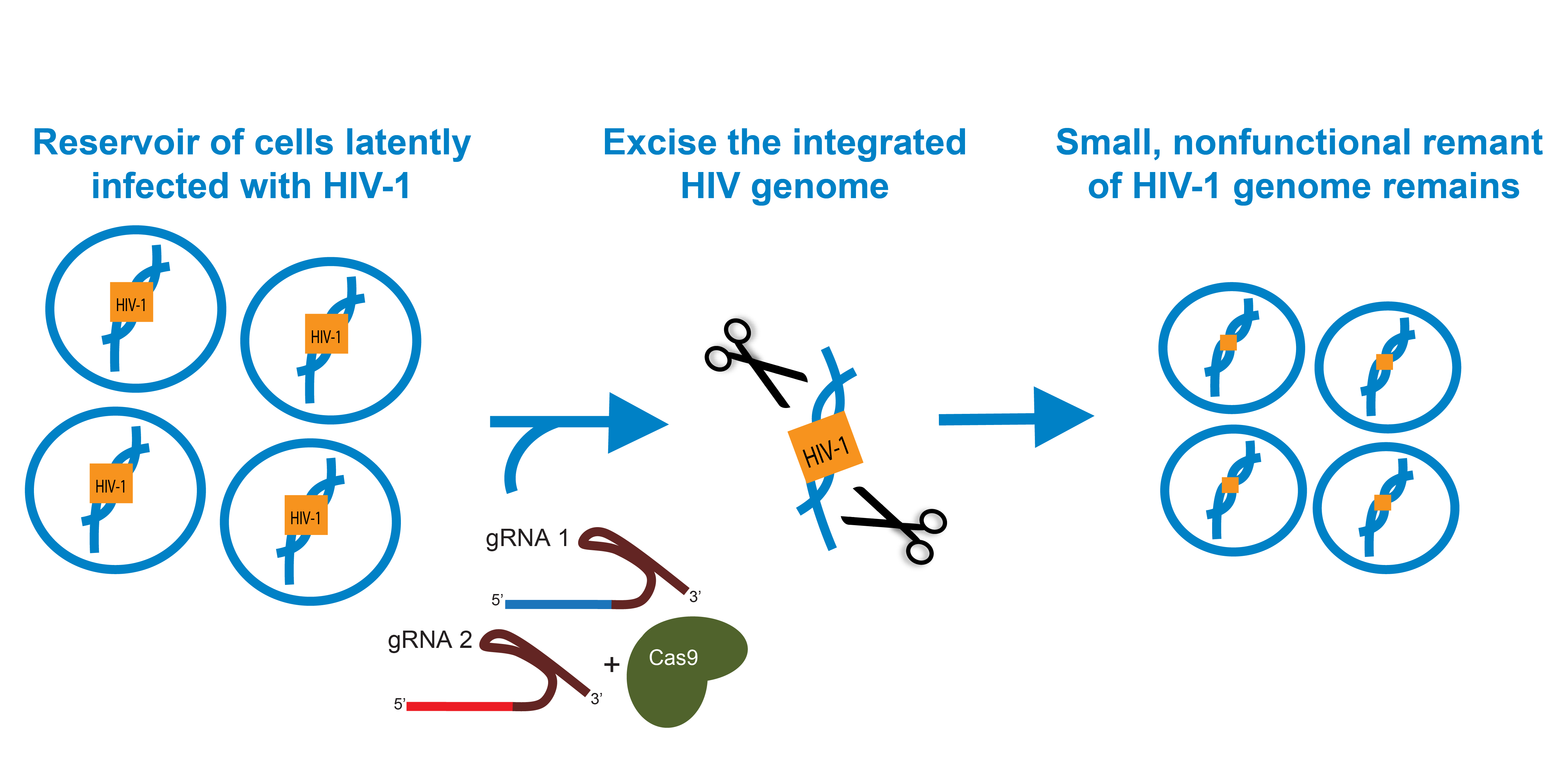 Targeting HIV-1 With CRISPR: Shock And Kill Or Cut It Out?