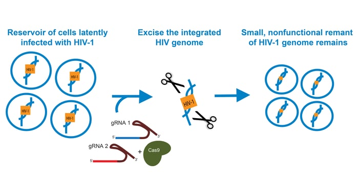 Cutting HIV-1 Out of the Genome with CRISPR