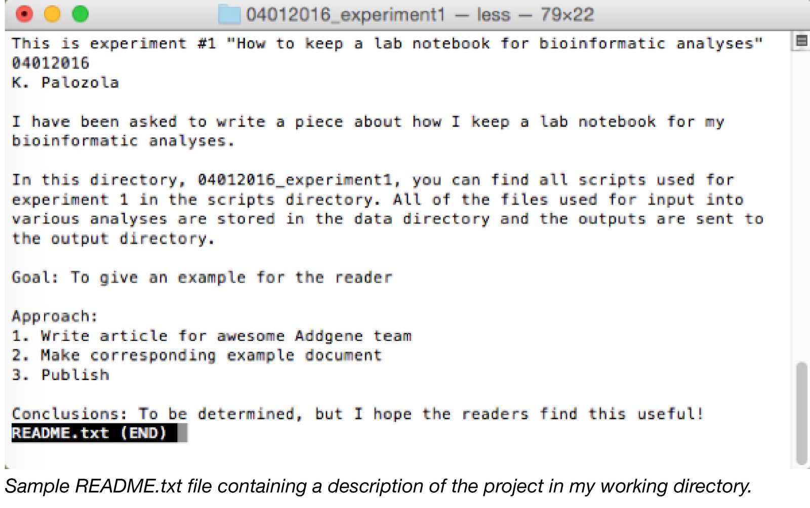 How to Keep a Lab Notebook for Bioinformatic Analyses