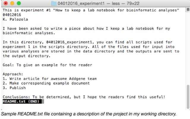 Sample read me text file