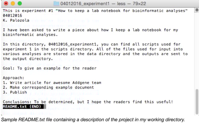 PROJECT: ONE PIECE Scripts