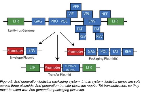 Diagram of components of second generation lentiviral vectors