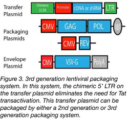 Diagram of components of third generation lentiviral vectors