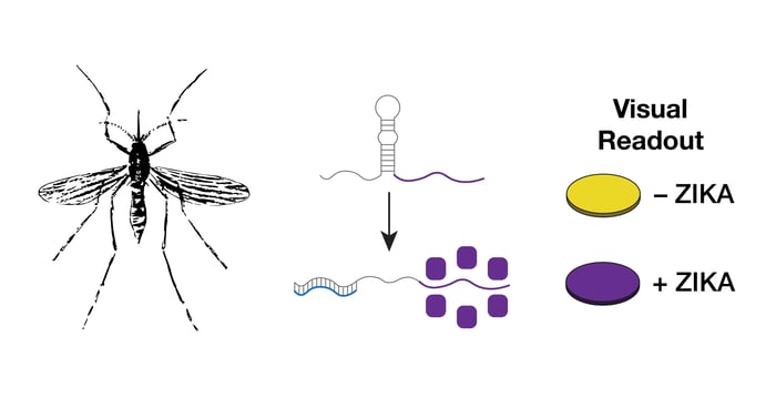 Zika Diagnostic Overview