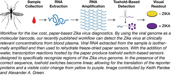 Zika detection workflow