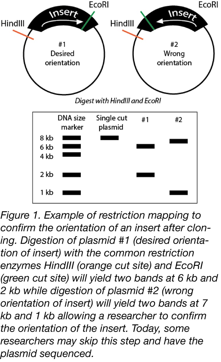 Evolution of Lab Techniques