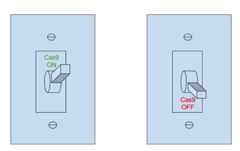 antiCRISPR acts like an on and off switch