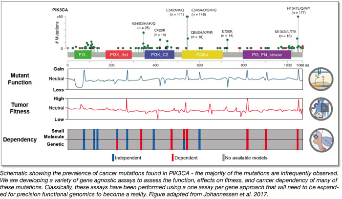 schematic showing the prevalence of cancer mutations found in PIK3CA