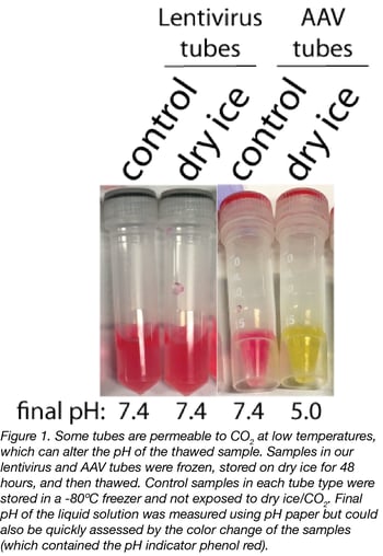 dry ice effect on pH in viral vector samples