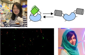 Fluorescent Protein Travel Award winners