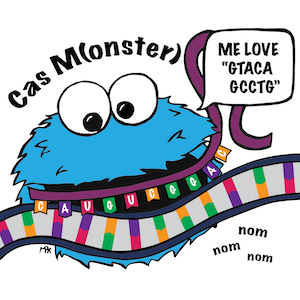 Comic illustrating Cas protein binding a gRNA and target DNA. The Cas protein is labelled CasM(onster) and looks like cookie monster. It has a quote bubble that says "Me love GTACAGCCTG."