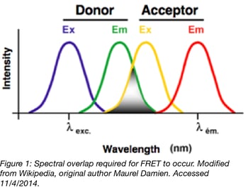 FRET Spectral Overlap