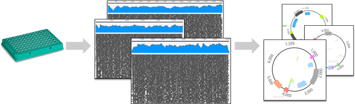 sequencing workflow