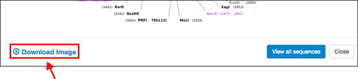 snapgene map download image