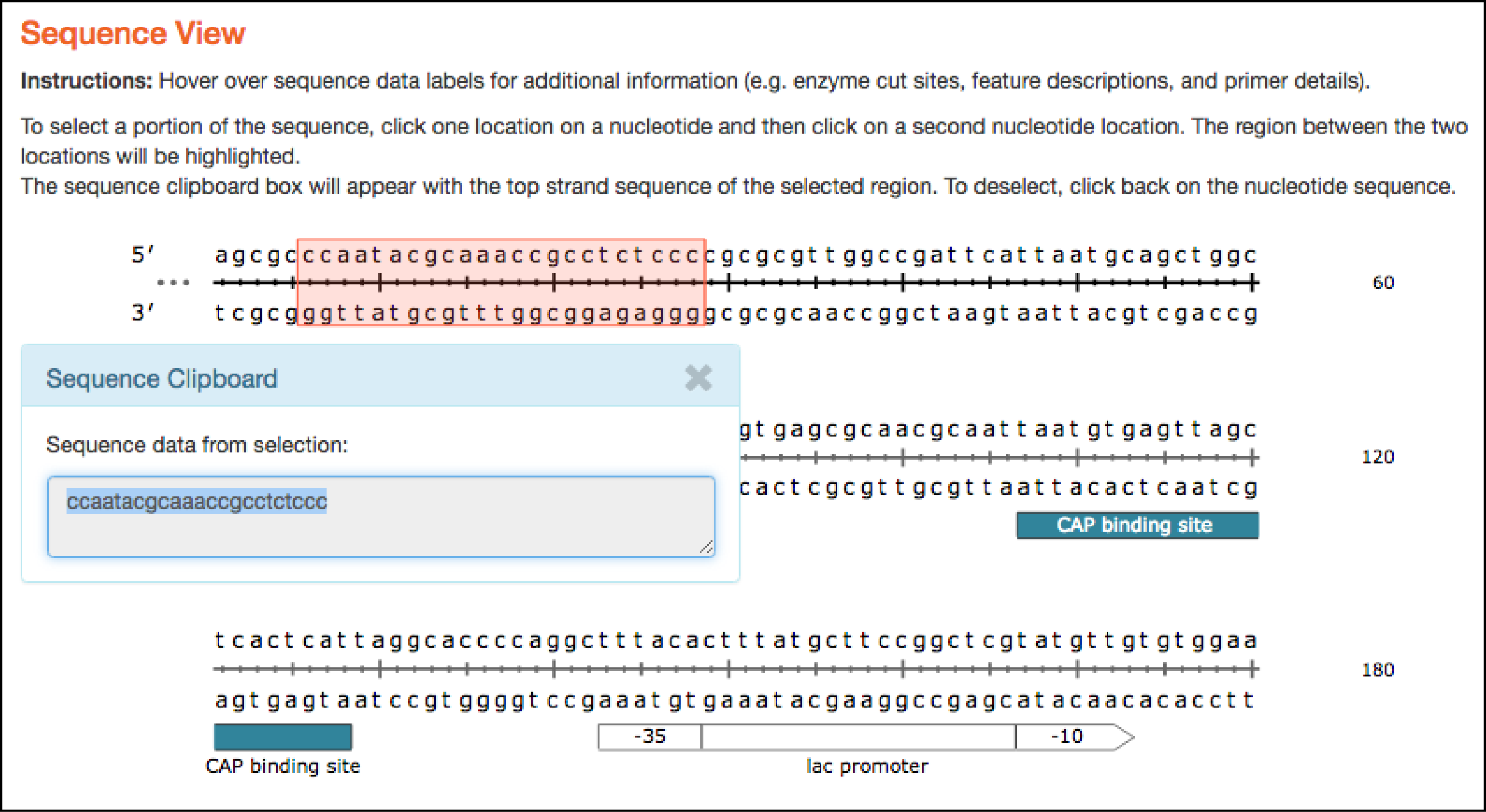 Improved Plasmid Maps Powered By SnapGene