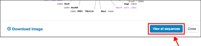 snapgene map view all sequences