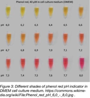 different shades of phenol red pH indicator in DMEM cell culture medium