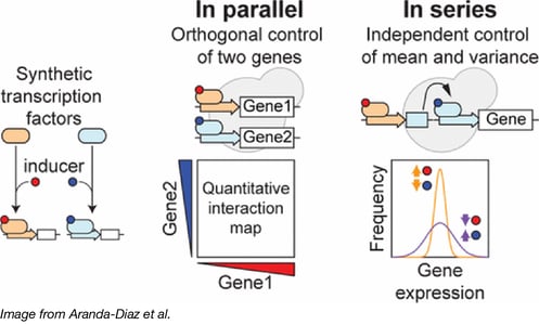 Independent Control of Gene Expression in Yeast