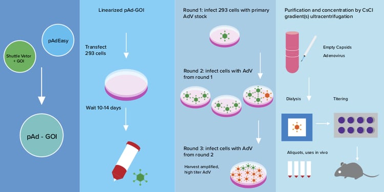 Adenovirus production