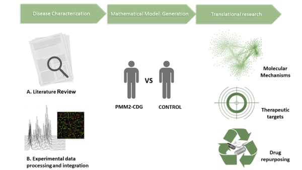 Videira lab research workflow