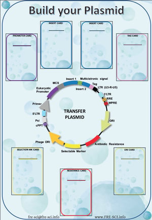 Build Your Plasmid Boardgame